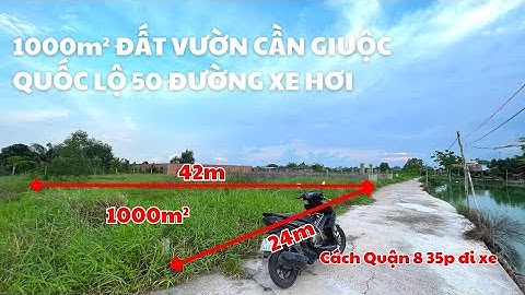 Đất Vườn Cần Giuộc Quốc Lộ 50 1000m² Đường Xe Tải | Bán Nhà Bình Chánh | Nhà Đất Trang Anh
