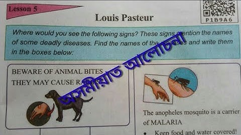 Louis Pasteur, class 8