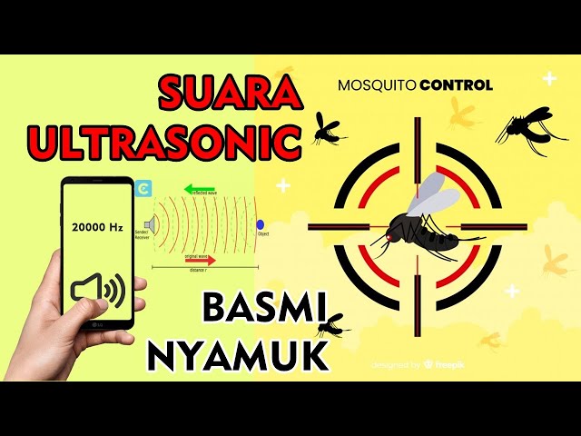 Cara Mengusir Nyamuk dengan Gelombang Suara Ultrasonic 20000Hz Paling Ampuh 100% Nyamuk Pergi class=