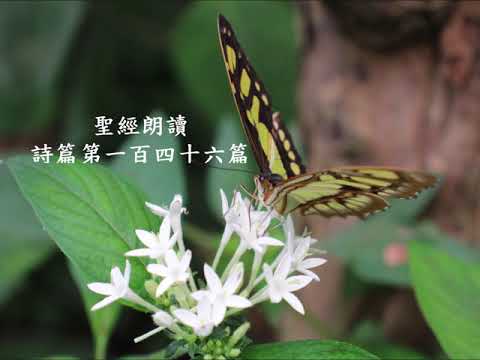 詩篇 第一百四十六 篇 Psaumes 146