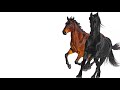 Lil Nas X - Old Town Road (feat. Billy Ray Cyrus) [Remix]