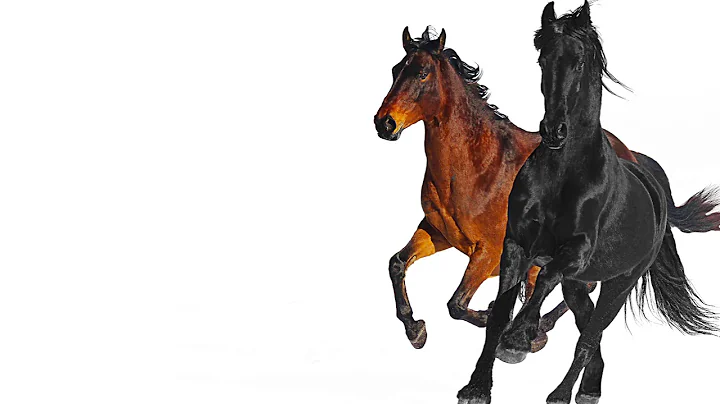 Lil Nas X - Old Town Road (feat. Billy Ray Cyrus) [Remix] - DayDayNews