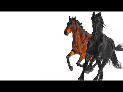 Lil Nas X's 'Old Town Road' Remix Feat. Billy Ray Cyrus