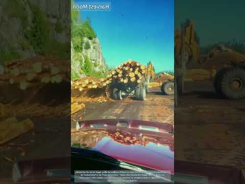 Holz Entladen Holzhandling Mit Bagger 