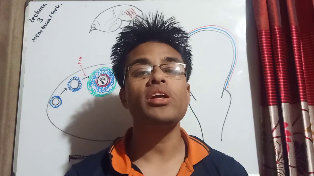 4.hsc Zoology chapter 9