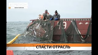 Росрыболовство решило устроить очередной передел в рыбной отрасли России
