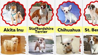 Comparison: Dog Breeds as Puppies