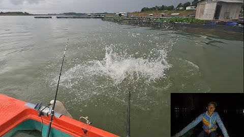 Hướng Dẫn Câu Cá Tra Ở Làng Bè Hồ Trị An