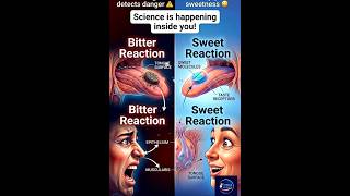 “The Science Behind Tablet Taste 💊 | Bitter vs Sweet Explained!” #pharmaceutics # taste buds#sens