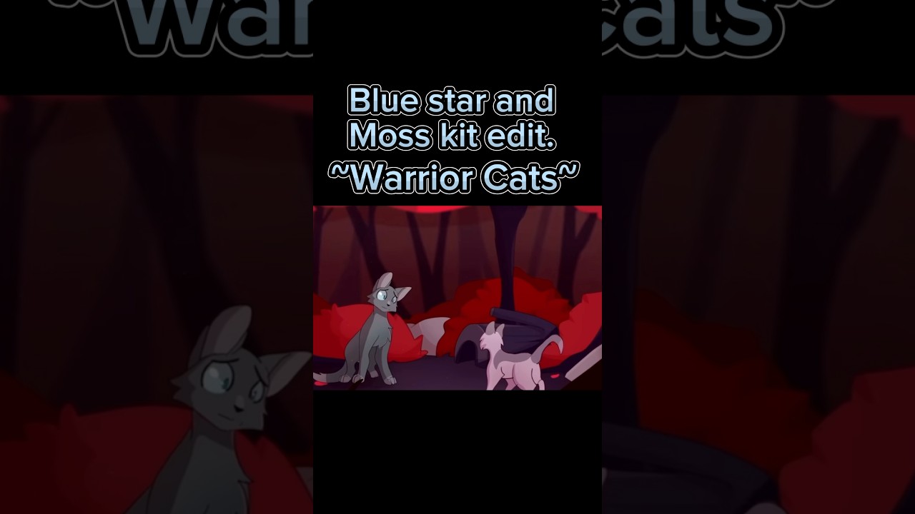 Blue star and Moss kit edit. ~Warrior Cats~ #warriorcats 