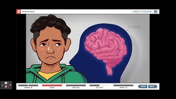 Second Step Unit 3 Lesson 14