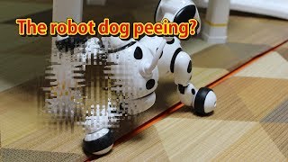 dimei robot dog
