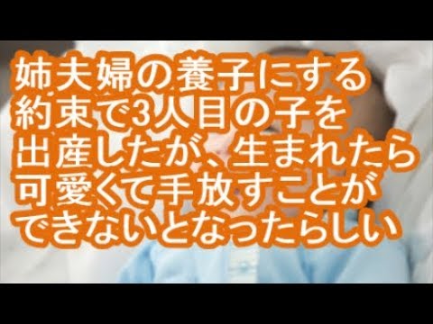 【キチママ】姉夫婦の養子にする約束で3人目の子を出産したが、生まれたら可愛くて手放すことができないとなったらしい【修羅場】