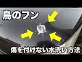 鳥のフンを付けられた！擦らずキズを付けない水洗い洗車方法