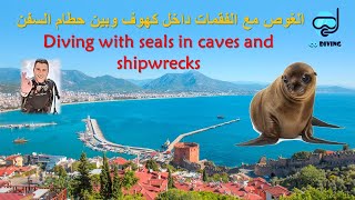 غوصة الانيا مع فقمات البحر داخل الكهوف وحطام السفن Diving in with seals inside caves and shipwrecks