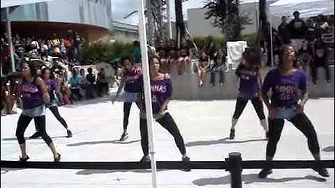 Marvelous Mu Sigma Lambda Gamma - Greek Stroll Off