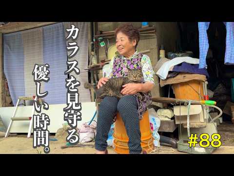 キヨと祖母(アラサーニートと4匹の猫) - YouTube