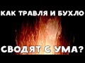 ХИККАН №1 | КАК ТРАВЛЯ И БУХЛО СВОДЯТ С УМА? | БАБУЛЯ ХИККАНА