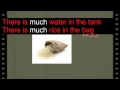 countable and uncountable / شرح درس