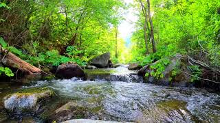 4K Nature video 💚 HD Nature video 4K download with Relaxing Music - Waterfall video @8kfilming screenshot 4