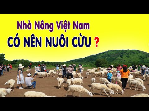 Video: Cách Nuôi Cừu