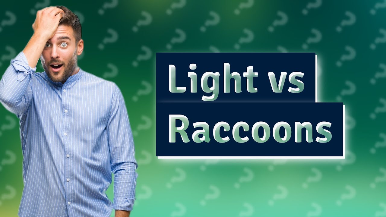Will light deter raccoons? - YouTube