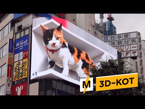 Мяукающий 3D–Кот: Мимо Такой Рекламы Вы Точно Не Пройдете