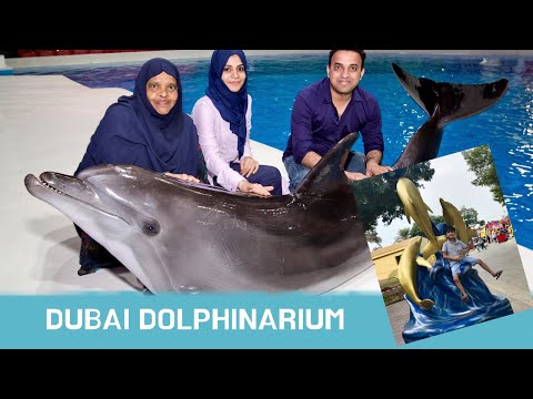 Dubai Dolphinarium Full Show | DOLPHIN & SEAL SHOW
