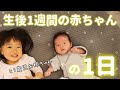 【新生児】生後1週間の一日に密着!!1歳児お姉ちゃんも母性がさく裂!?【年子】