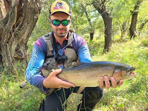 მდინარის მონსტრი... favorite arena purple new