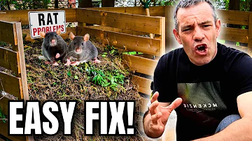 How do I dispose of a dead rat?