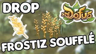 [Guide Dofus] Combien de temps pour dropper un frostiz soufflé ?