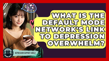 What Is The Default Mode Network