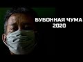 Бубонная чума 2020 в России. Что происходит?