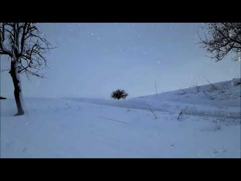 KAR FIRTINASI SESİ. Rüzgar Doğa Orman, Uyku Fon Dinlendirici Müzik, Kar Kış Güzel Doğa Manzaraları