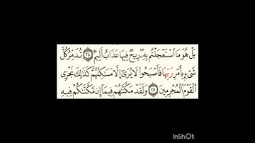 سورة الاحقاف آية٢٥ #سورةالفاتحة #سورةالكوثر #سورةالناس #سورةالنازعات #اكسبلور #الرحمن #لايك #المصحف