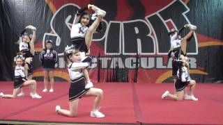 Rebels Elite Mini Level 1 - January 2010