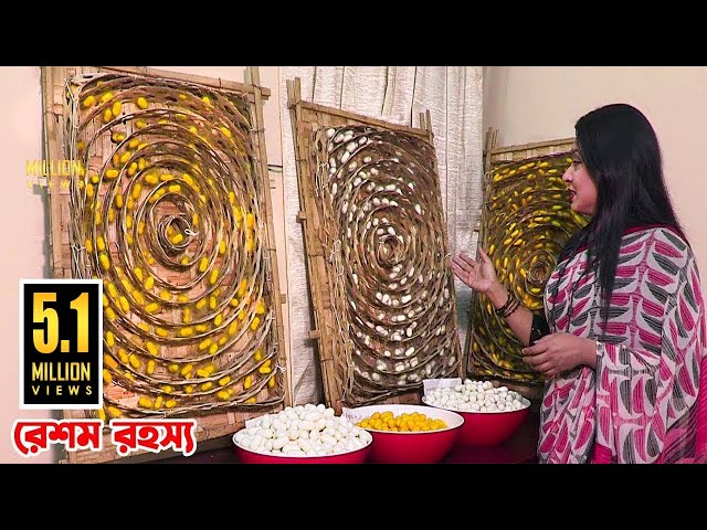 Secret of Making Silk Fabrics from Silk Worm || রেশম পোকা থেকে রেশমি কাপড় তৈরির রহস্য class=