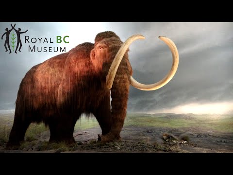 Royal BC Museum Tour & Review with The Legend