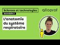 Lanatomie du systme respiratoire  sciences et technologies  alloprof