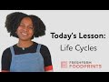 Life Cycles of Monarch Butterflies