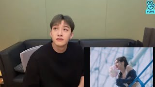 Stray Kids Bang Chan reaction to Monster Melody Project by TWICE Dahyun | Chan’s Room Ep 159 🐺🖤