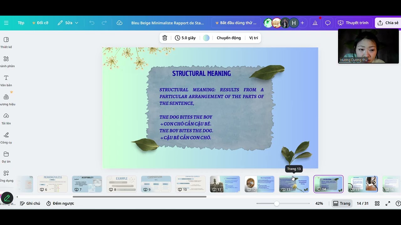 Structural & Representational Meaning - Dương Thu Hương