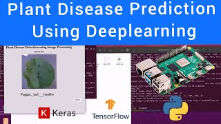 Plant Leaf Disease Detection GUI  || Machine Learning Projects | Machine Learning Training |  CNN