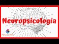 NEUROPSICOLOGÍA, ¿Qué es?, ¿Cuáles son sus ámbitos de acción y competencias?