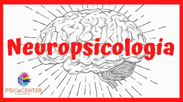 ¿Cuál es la función de Neuropsicología?