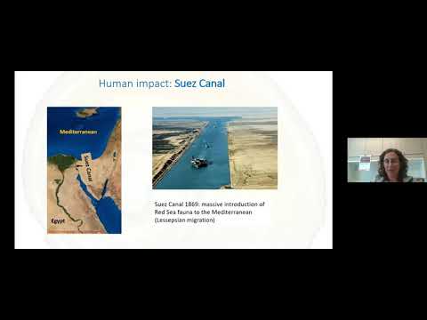 DMG21S17 - Marine Geosciences Seminar - Dr. Yael Edelman-Furstenberg