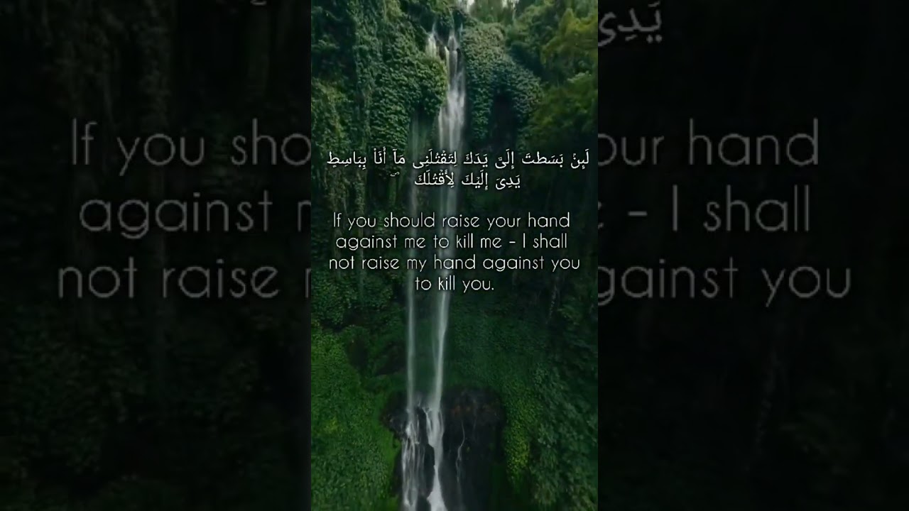 beautiful quran recitation 