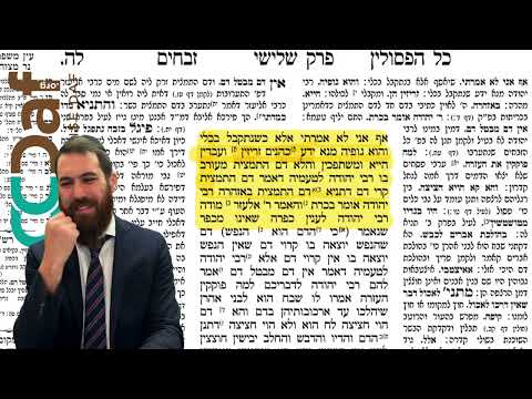 Zevachim: Daf Yomi Clear & Concise מסכת זבחים דף יומי