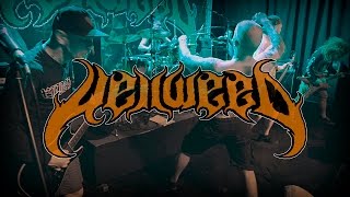 Hellweed | Live 2016/06/18